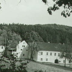 Zamek w Dzięgielowie