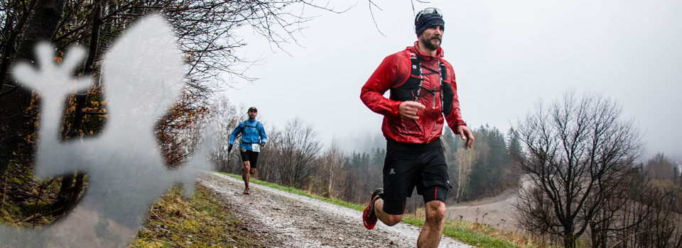 beskidzka-salamandra